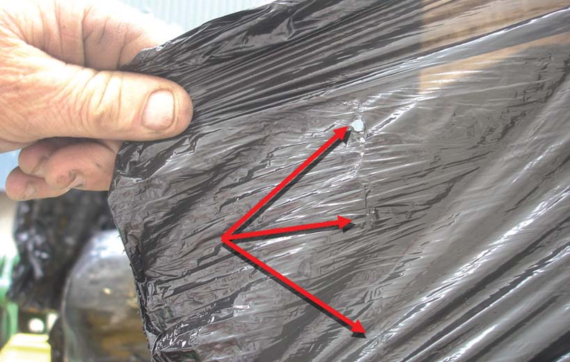 Article Stop and look a little closer Pic