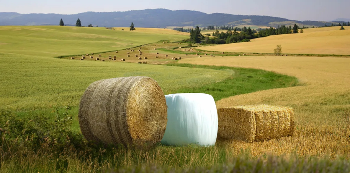Round bale wrapped with netwrap, Round bale wrapped with Stretchfilm, Large square bales wrapped with Twine